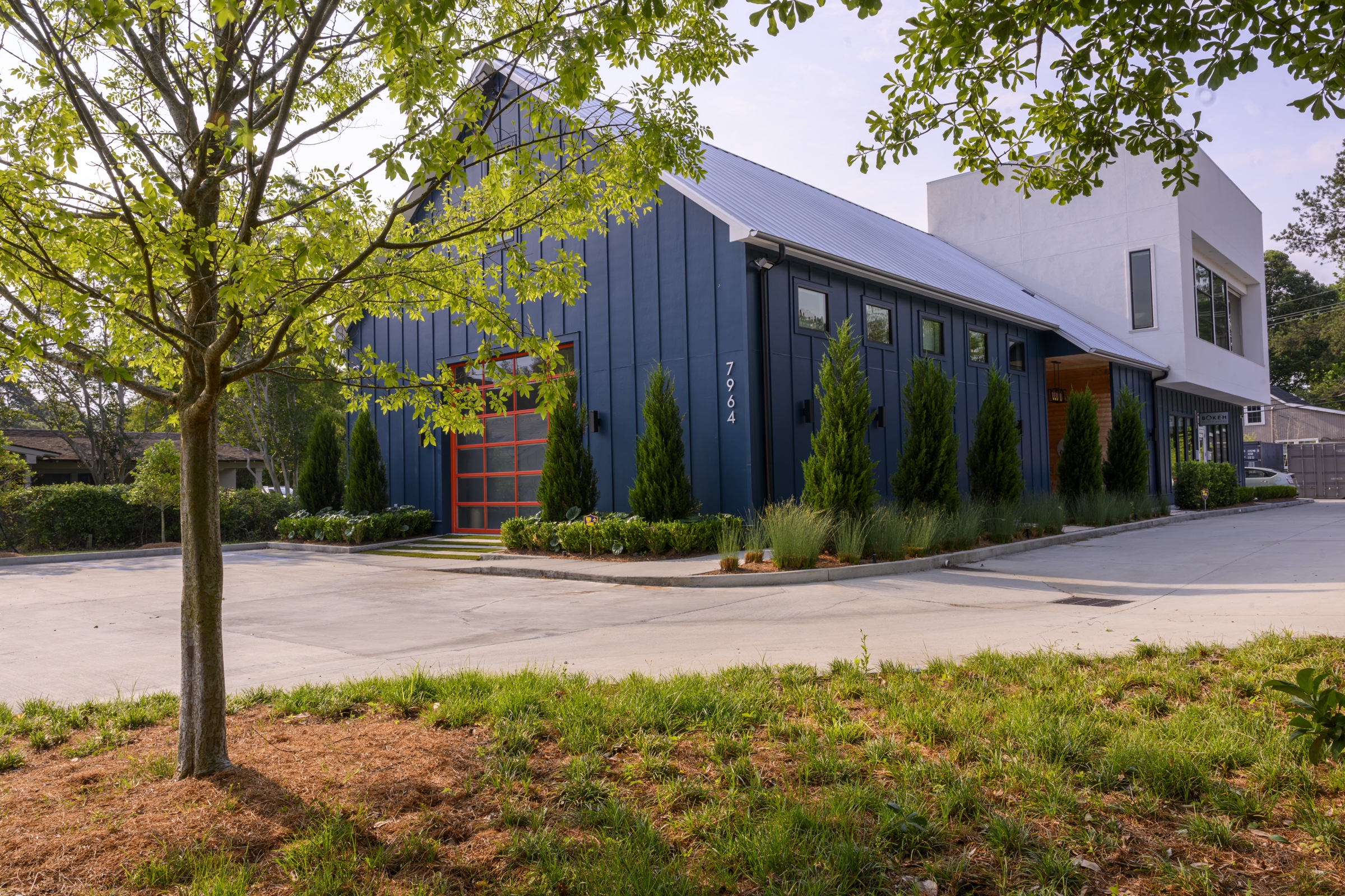 Commercial work, corner view with young tree