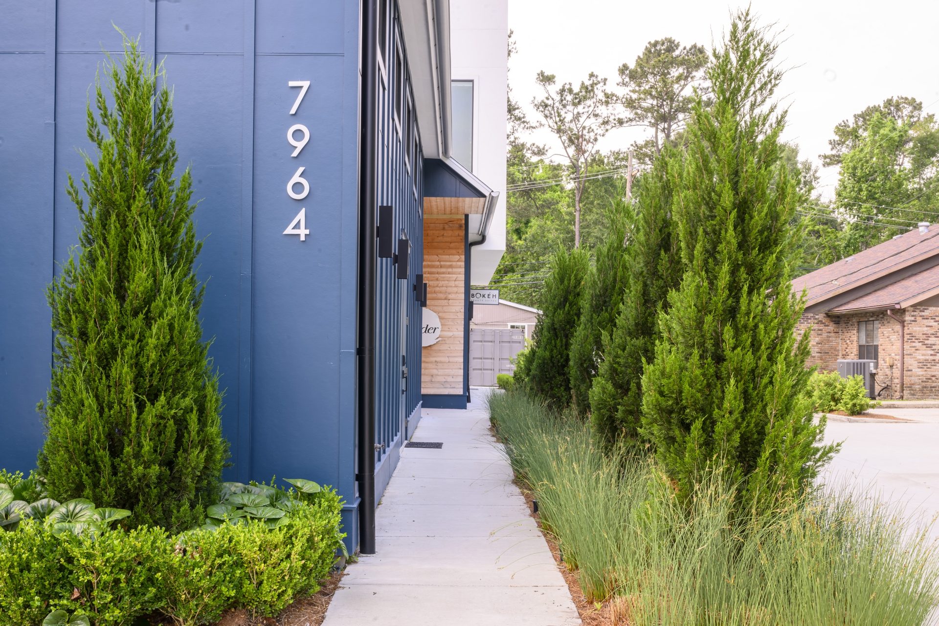 Commercial work, address detail with cypress and grasses