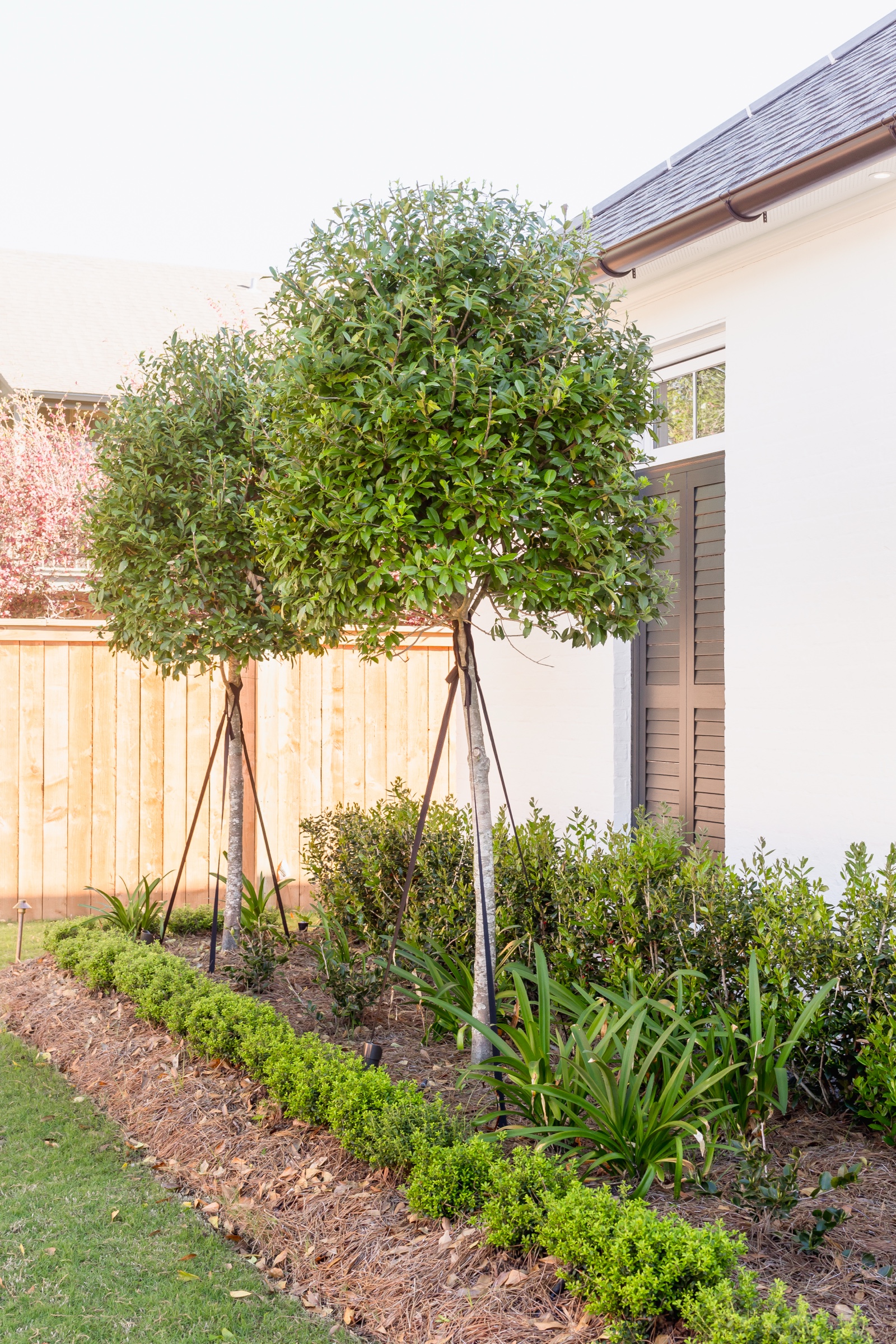 Gilbert Dr, photo 15 of 15